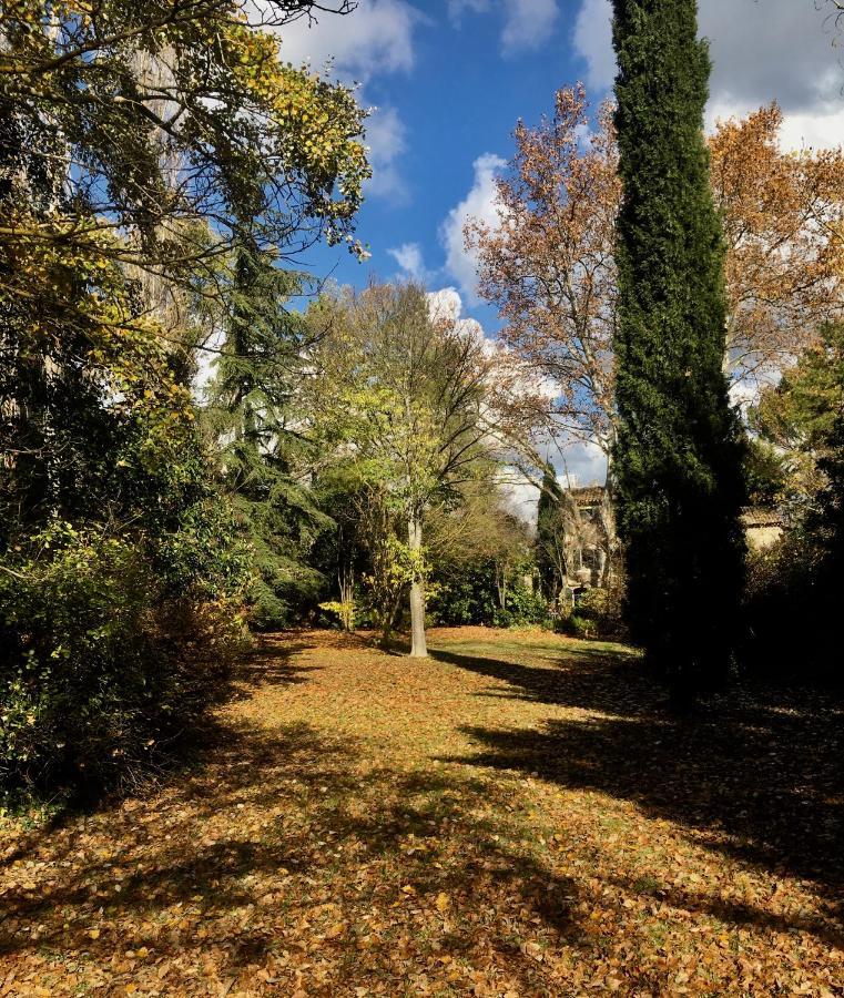 Maison d'hôtes Campagne-Baudeloup LʼIsle-sur-la-Sorgue Exterior foto